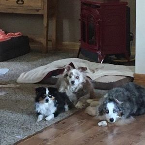 Meet your Posher, Christina